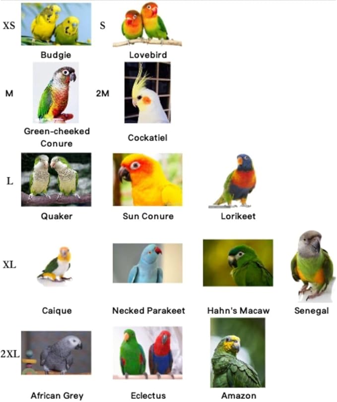 Bird Diaper Cockatiel Clothes Flight Suite, Reusable Parrot Nappy with Waterproof Inner Layer, Cute Pigeon Pants Urine Wet Suit Costume for Conure Macaw (Red,L)