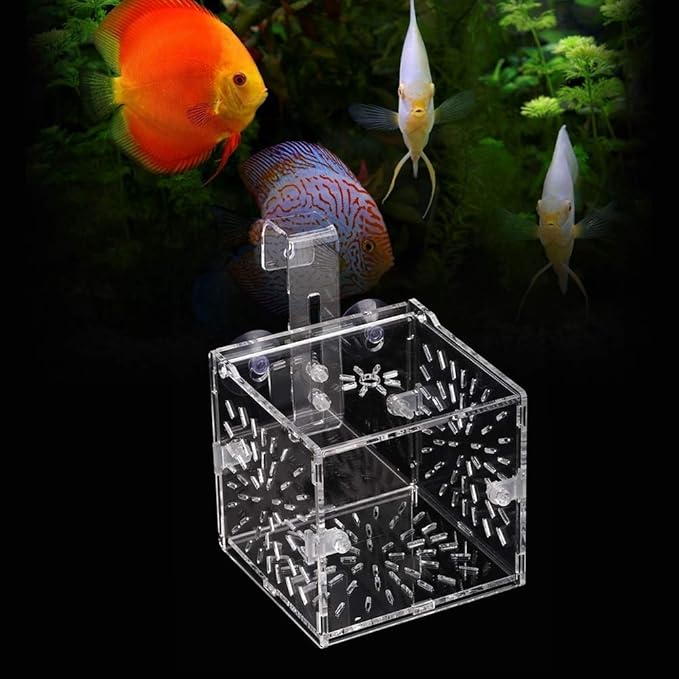 Fish Breeding Incubator, Fish Tank Hook Sucker Design Stable Fish Incubator Box for Breeding for Isolation(10CM*10CM*10CM)
