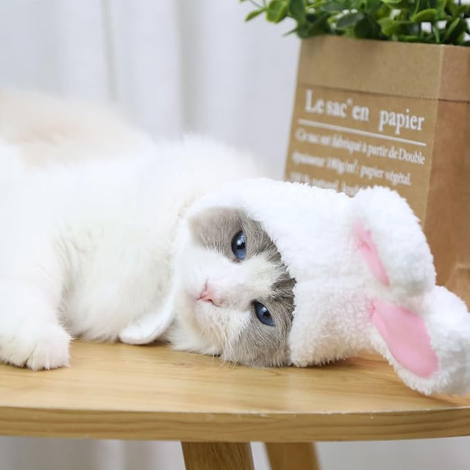2PCS Bunny Ears for Cat, Plush Rabbit Hat with Ears for Cats & Small Dogs, Cute Easter Party Costume Pet Headwear Accessory