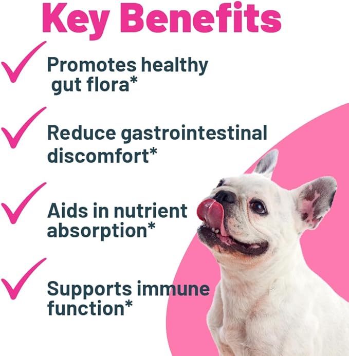 Probiotic + Prebiotic Powder for Dogs – 7 Probiotic Strains with Prebiotic FOS, Supports Gut Flora, Digestive & Immune Health, 5 Billion CFU per Scoop