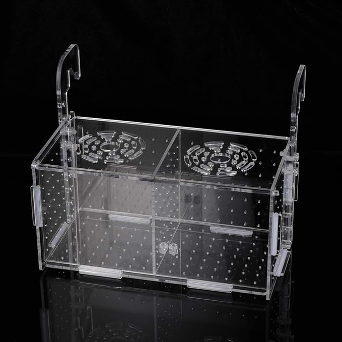 POPETPOP Fish Breeding Box - Box for Fish Tank Acrylic Acclimation Hatchery Incubator Aquarium for Small Shrimp
