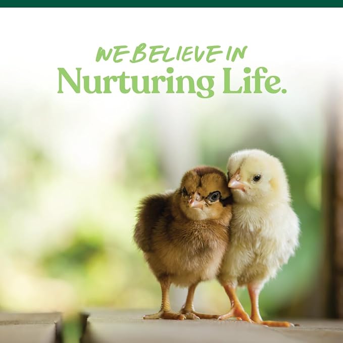 Manna Pro Medicated Chick Starter Grower, Crumbled Chick Feed with Amprolium, Complete Nutrition for Young Chickens, Supports Healthy Growth and Coccidiosis Prevention, 6-Pack of 5 lb Bags
