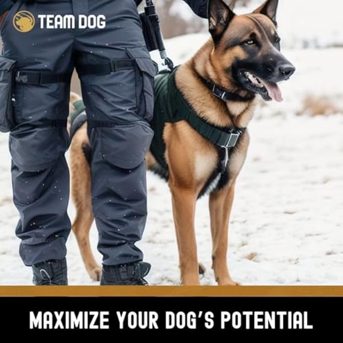 Team Dog Raw Frozen Dog Food | 65% Beef Muscle, Organ Meats, Herring & Green Tripe for Dogs | All Natural Grain Free Dog Food for Optimal Health, Digestion & Coat | 24 x 1lb Rolls