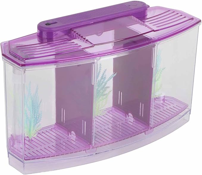 Small Fish Isolation Fish Tank, LED Acrylic Aquarium Fish Tank, Transparent Fish Isolation Box with 2 Isolation Plates for Small Fishes Betta Shrimp Guppy (Lightpurple)