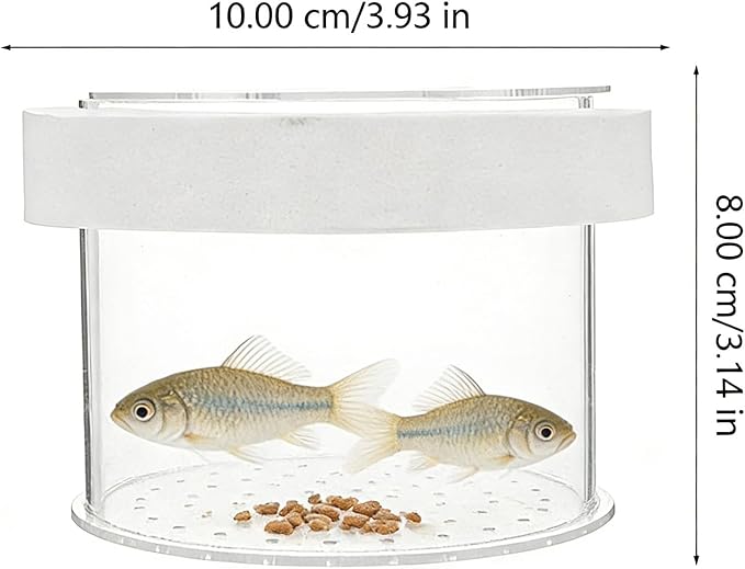 Baby Fish Separator for Aquarium, Acrylic Breeder Box Floating or Fixed, Multi-Purpose Hatchery Isolation Tank for Breeding, Quarantine and Acclimation