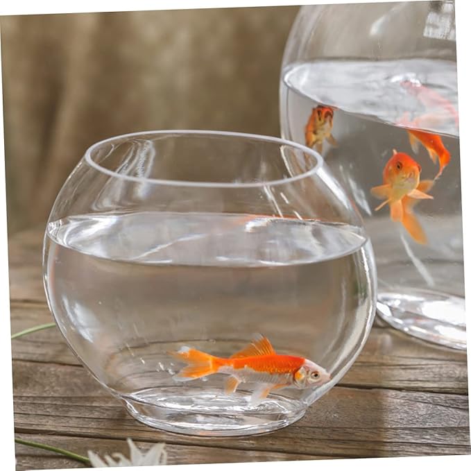 Flat Fish Tank Hydroponic Planter Glass Aquarium Glass Hydroponic Bowl Vase Water Plant Vase Betta Tank Fish Supplies Accessories Betta Household Products