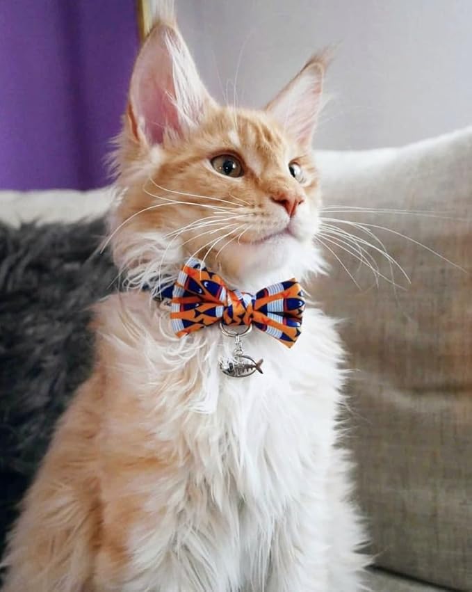 Blueberry Pet Timeless Navy Blue Cat Collar with Bells, Chic Fish Print, Handmade Bow Tie, Christmas Cat Collar, Adjustable 9"-13", Eco-Friendly, PRECIOSA Crystal, Gift for Cat Lovers