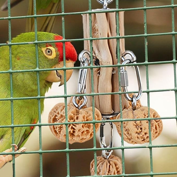 Parrot Toys for Large Birds, Durable Bird Toys Natural Hardwood Walnut, Hanging Toy for Aggressive Bird Parrots, Macaw，African Grey,Amazon，Cockatoos, Cockatiels Medium and Large Birds