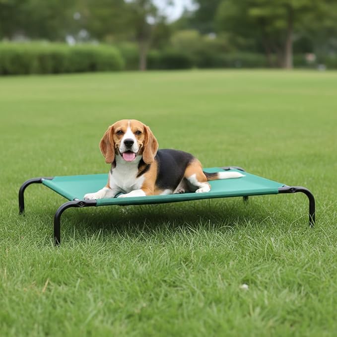 Amazon Basics Cooling Breathable Elevated Dog Bed with Metal Frame for Medium Dogs, 43 x 26 x 7.5 Inch, Green