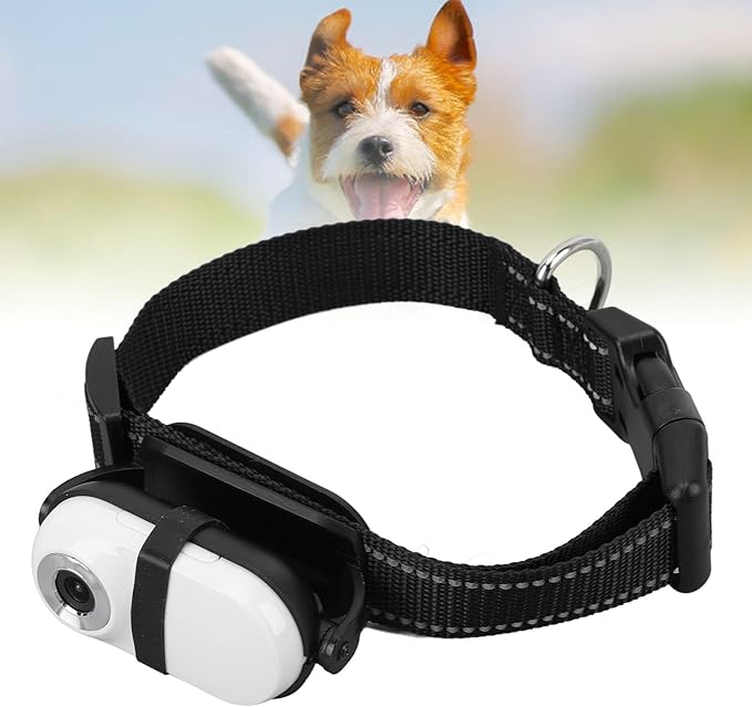 Cat Camera Collar, Pet Collar Camera with Memory Card, HD 1080P Wire Less Dog Tracker Camera Adjustable Mini Action Camera for Video Records (64GB)