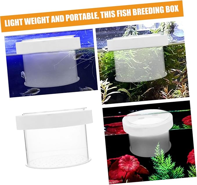 BESPORTBLE Fish Breeding Box Acrylic Isolation Tank for Aquariums Floating Fish Box Transparent Cover Increases Survival Rate and Hatching