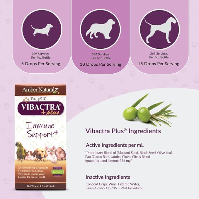 Amber NaturalZ Vibactra Plus Herbal Supplement for Dogs, Cats, Birds, Guinea Pigs, and Rabbits | Herbs for Immune Health and Yeast Balance | 4 Fluid Ounce Glass Bottle