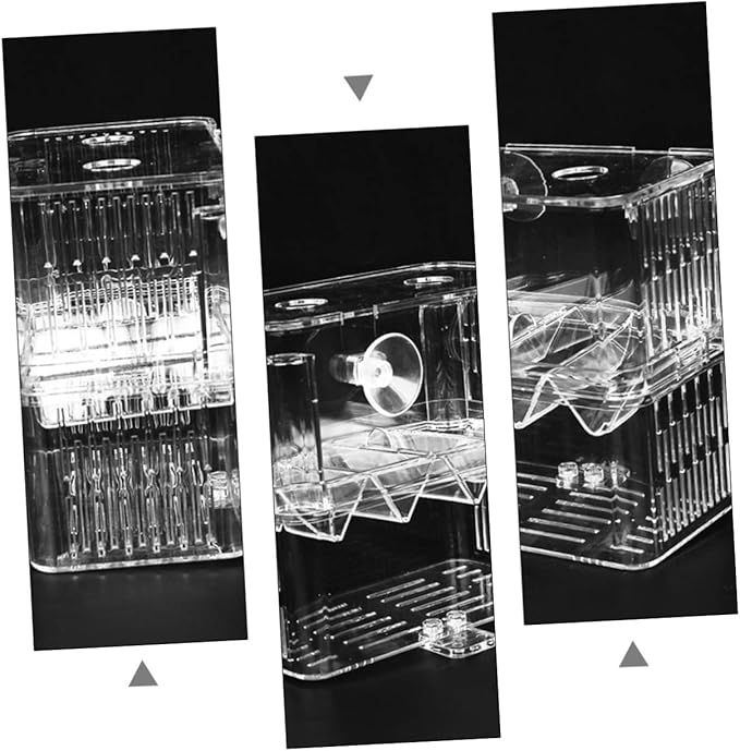 FRCOLOR 1pc Fish Fry Isolation Box Fish Breeding Tank Cups Convenient Mesh Design for Aquarium Use