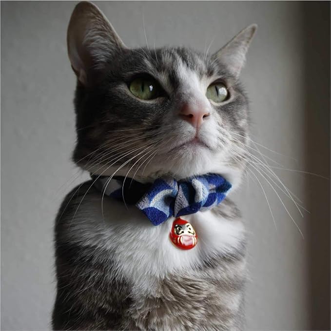 Necoichi Daruma Charm Bow Tie Cat Collar (Blue)