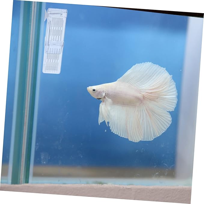 POPETPOP Breeding Tank Aquarium Isolation Box for Fish Cup Design for Betta and Guppy Hatchery Made from Material Easy to Install Observation of Fish Conditions