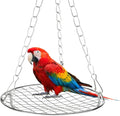 Bird Swing Stainless Steel Bird Swing for Cage Hanging Parakeet Swings Birds Cage Accessories to Balance Training Budgies Parrotlets Rat Sugar Gliders Small Animals