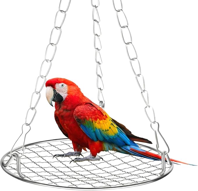 Bird Swing Stainless Steel Bird Swing for Cage Hanging Parakeet Swings Birds Cage Accessories to Balance Training Budgies Parrotlets Rat Sugar Gliders Small Animals