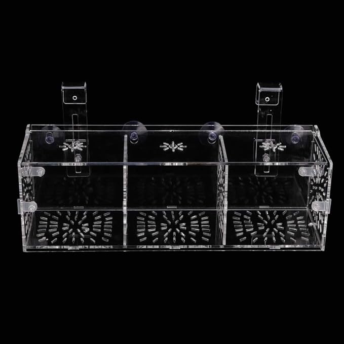Fish Breeding Isolation Box Aquarium Acclimation Hatchery Incubator Acrylic Transparent Aquarium Hatchery Incubator Holder(30CM*10CM*10CM)