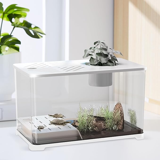 Aquarium Tank - Spacious Glass Fish Tank Setup for Betta Shrimp, Modern Desktop Habitat with Turtle Perch and LED Lighting, Ideal for Home Decor and Plant Cultivation