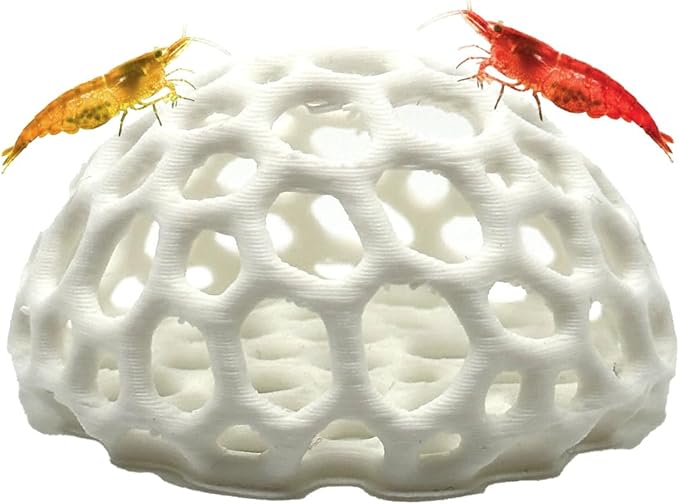Shrimp Dome Hide - Aquarium Cherry Shrimp Hide - CTWPets Cherry Shimpe Hide (White)