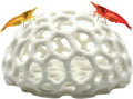 Shrimp Dome Hide - Aquarium Cherry Shrimp Hide - CTWPets Cherry Shimpe Hide (White)