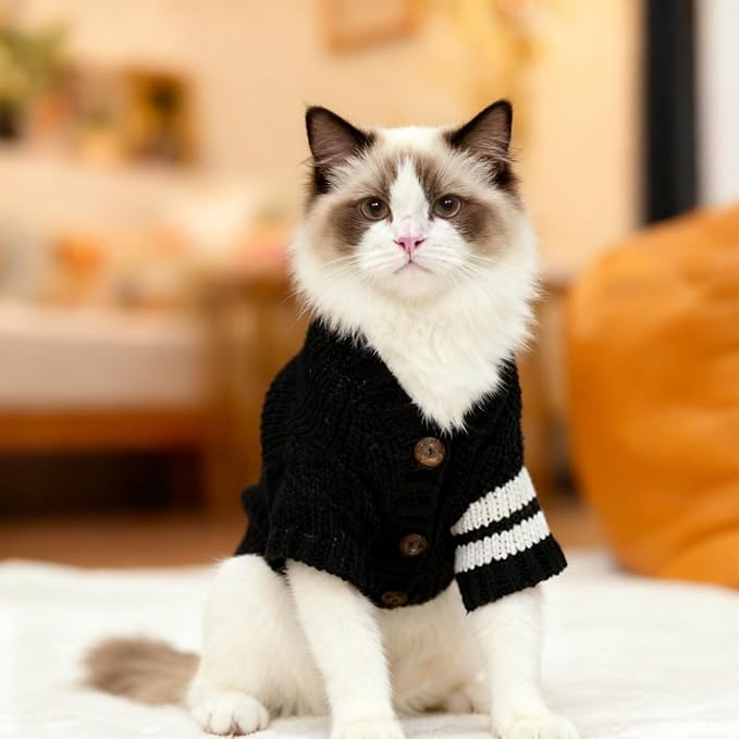 EXPAWLORER Cat Sweater Cardigan - Stylish Knitted Cat Clothes, British Style Soft Puppy Sweater with Sleeve Warm Pet Clothing Knitwear, Fall and Winter Kitten Coat for Girl Boy Cats, Black Small