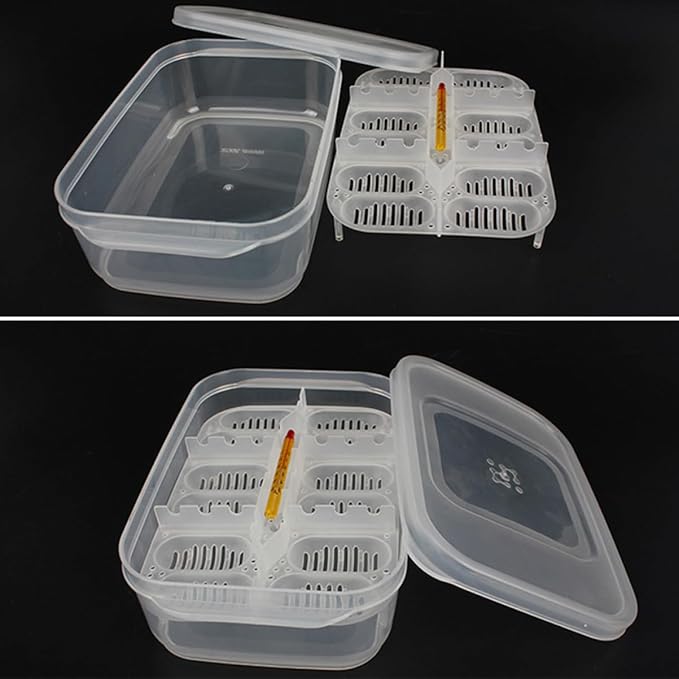 Angoily 2pcs Box Aquarium Breeder Box Incubator for Snakes Lizards Egg Tray Easy to Clean Random Color