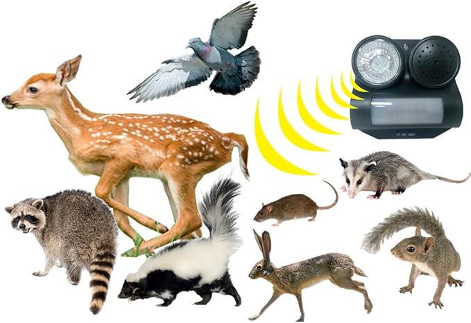 Bird B Gone Sonic Shield - Motion Activated Sonic Animal Repellent with Sound & Light - Outdoor Pest Deterrent for Birds, Squirrels, Cats, Dogs & Raccoons - Portable Yard, Patio & Garden Protection