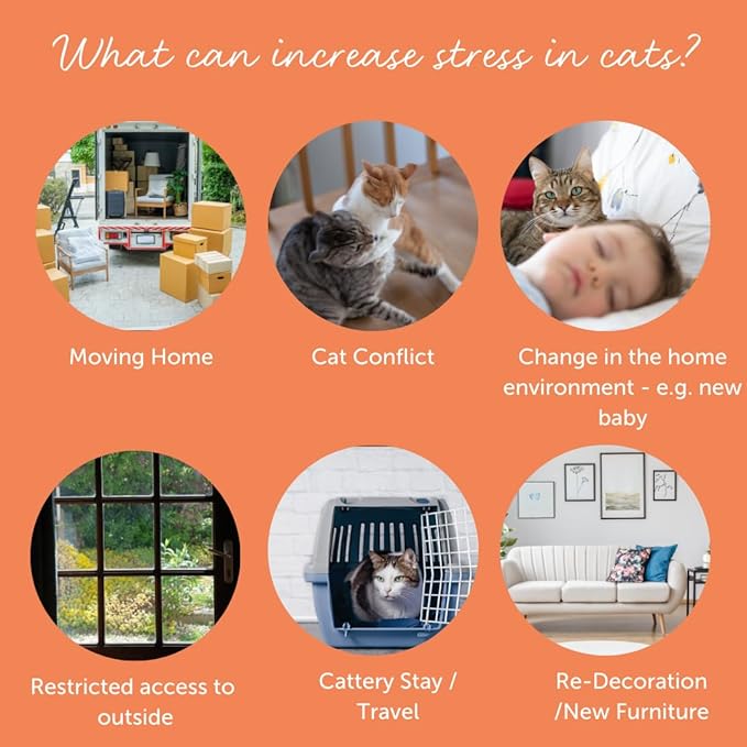 FELIWAY Cystease Advanced Urinary Tract Support for Cats (Pot Size: 30 Tablets)