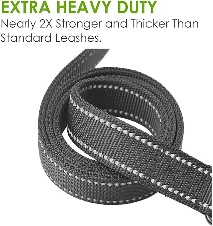 Heavy Duty Dog Leash - 2 Handles by Padded Traffic Handle for Extra Control, 6foot Long - Perfect for Medium to Large Dogs (Purple, 6 ft)
