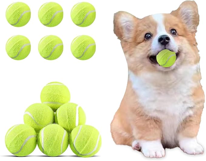 Automatic Dog Ball Launcher Usign Balls 6 Mini Tennis Balls