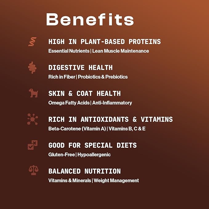MDRNpup® Unique Dog Treats, Human Grade and All-Natural, Only Four Ingredients, High Protein - Amino Acids, Nothing Artificial, Soft Baked in The USA (13.2 Ounce, Chickpea & Pumpkin)