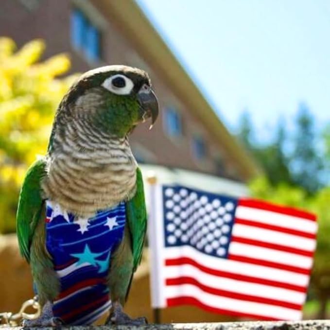 Avian Fashions FeatherWear FlightSuit Jumbo(13) Bird Diaper in Fireworks