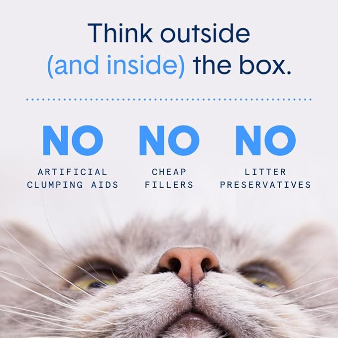 Boxie Unscented 30 Day Odor Control Clumping Clay Cat & Kitty Litter 16 lb, 99.9% Dust-Free, Hard Flat Top Clumps, No Fragrances No Fillers, Long-Lasting, Easy to Scoop (Pack of 2)
