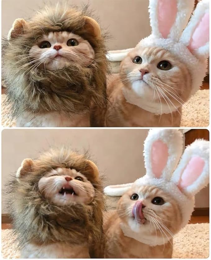 Cute Cat Hats 3-Pack - Lion Rabbit Pink Bear Costume Headwear for Kittens,Bunny Ears for Cats,Soft Dress Up Party Halloween Costume Accessories for Cats