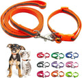 Orange Kitten Collar and Leash Set, Reflective Puppy Collar and Leash Adjustable Quick Release Dog Collars for Small Dogs with Bell for Tiny Little XXS XS Extra Small Breed Pets Cats Girls Boys