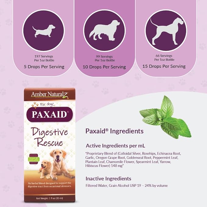 Amber NaturalZ Paxaid Digestive Rescue for Dogs and Puppies | Supports Normal Appetite, Gut Function, and Stool Consistency During Occasional Gastric Discomfort and Dietary Changes 1 Fluid Ounce