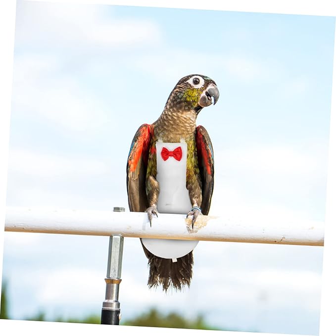 Yardwe Bird Diaper for Birds Breathable Parrot Clothing Accessory for Outdoor Activities Fits Parakeets Cockatiels and Pigeons White