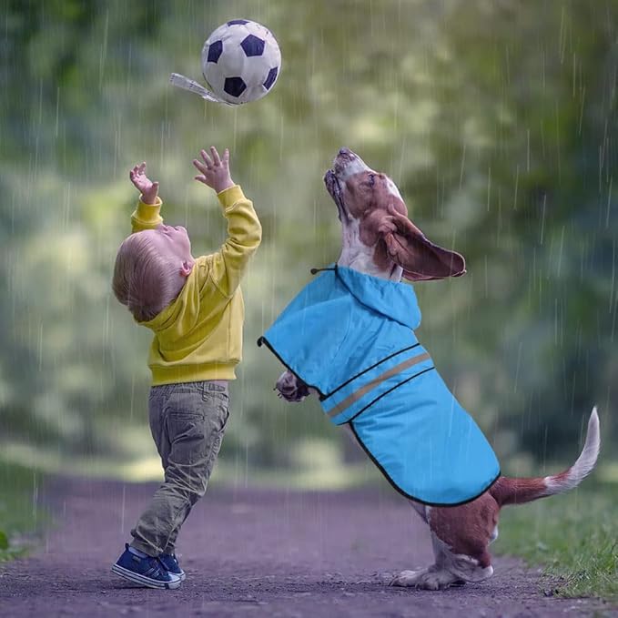 Reflective Dog Rain Coat - Waterproof Adjustable Pet Raincoat Jacket, Lightweight Hooded Dog Rain Coat Poncho for Small to X- Large Dogs and Puppies (Blue, X-Large)