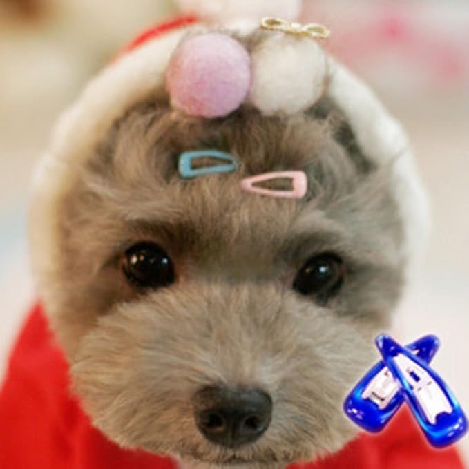 PET SHOW Cute 0.9" Waterdrop Small Snap Hair Clips Pet Grooming Products Dog Cat Puppy Short Hair Accessories Random Color Pack of 20