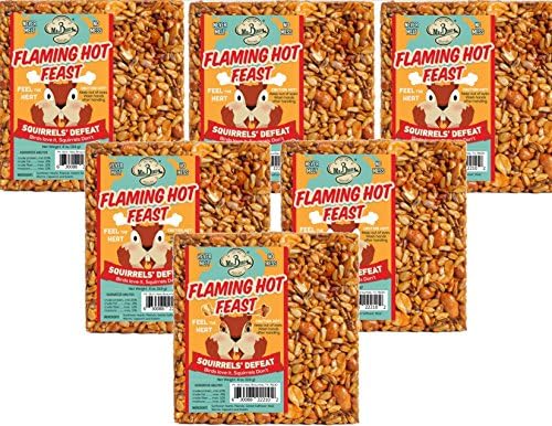 6-Pack of Mr. Bird Flaming Hot Feast Small Wild Bird Seed Cake 4 oz.