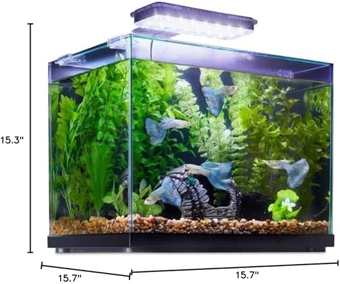 Imagitarium Glass Versa Aquarium 6.6 Gallons