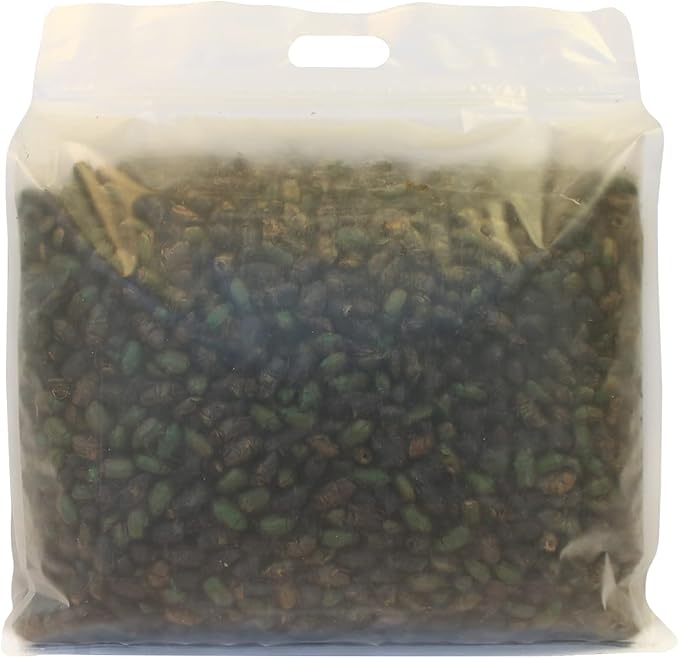 Exotic Nutrition 2 LB Beetle Craze Chicken Feed | High Protein Dried Beetles | Better Than Mealworms