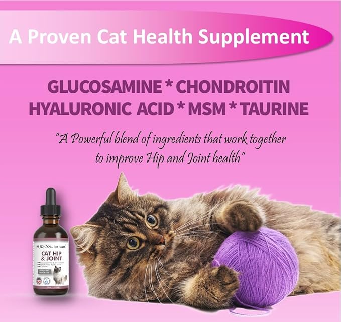 NODENS Cat Hip and Joint Liquid Glucosamine for Cats with Chondroitin – 100% Natural Cat Joint Supplement for Senior Cats Pain Relief Anti-inflammatory for Improved Joint Flexibility & Mobility 2oz