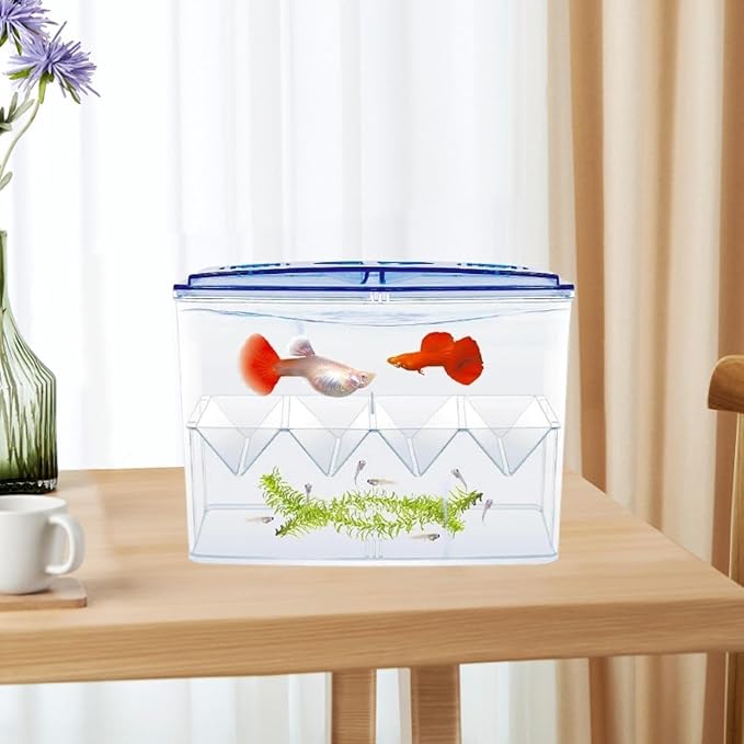 Fish Breeding Box Isolation Hatchery 7.09x3.74x5.31 Inch Transparent PP Floating Tank for Guppy Shrimp Baby Fish