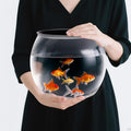 Geelin 1.5 Gallon Plastic Fish Tank Large Bowl Shatterproof with Crystal Clear Clarity for Terrarium, Flower Vase Centerpiece Gift for Fish Lovers (Round)