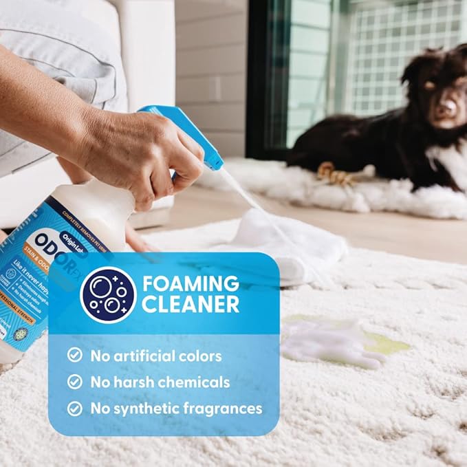Origin Labs OdorFx Pet Stain and Odor Remover for Pet Stains and Odors, Fragrance Free Rug, Upholstery, and Carpet Cleaner Solution, Probiotics and Enzyme Cleaner Spray No Harsh Chemicals, 32 Fl Oz