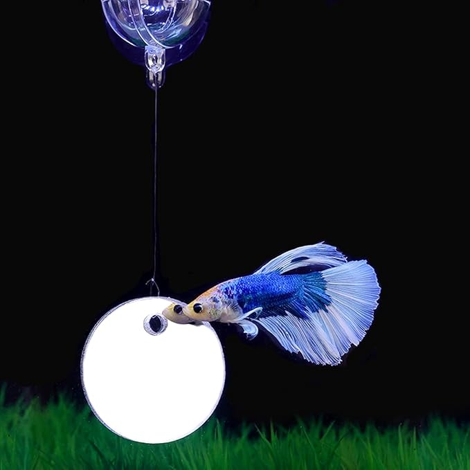 Betta Training Mirror Fish for Tank Fish Antidepressant Work Out Special for Betta Fitness Mirror Betta Toys Mirror Aquarium Decor (4cm)