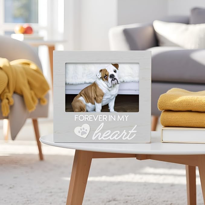 Pearhead Pet Forever In My Heart Memorial Keepsake Picture Frame - Keepsake for Dogs and Cats, Home Decor or Sympathy Gift for Pet Lovers, Heart & Paw Print Design, 4x6 Photo Insert, Gray