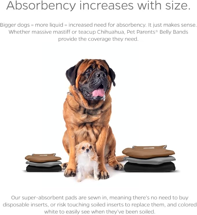 Pet Parents® Washable Belly Bands for Dogs (3pack) + Extendrs® Durable Dog Diapers - Premium Male Dog Diapers & Wraps (X-Small, Black)